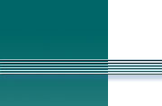Text about your website